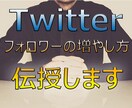 ツイッターのフォロワーの増やし方を伝授します 一番辛い「フォロワー５００人」までの道のりをスイスイ イメージ1