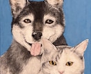 ペット の肖像画を水彩で描きます 大切なペットの可愛い表情を絵にしてみませんか イメージ1