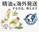 精油を海外発送する方法教えます 通関・書類・発送まで初心者でも小ロットでも：商用輸出実績豊富 イメージ1