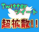 高コスパでツイートを超拡散致します 知名度向上に！安心の拡散グル運営者が拡散！✨1万インプ以上！ イメージ1