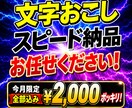 今月限定★大幅値引き！音声を文字起こしします 整文！音声の長さに限らず2000円ポッキリ！ イメージ1