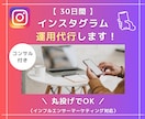 ほぼ丸投げ！インスタ運用代行＋サポートします サポートが充実！ほぼ丸投げで運用します！ イメージ1
