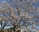 夫婦間の悩み事お聞きします 誰にも言えない事お引き受けします。 イメージ1