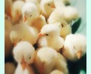 赦せない、その気持ちが自分を縛ってます 赦せない事、それは相手より自分を傷つけている イメージ5