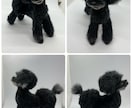 羊毛フェルトで作るリアルな犬の制作方法になります 愛犬さんを羊毛フェルトで作ってみませんか？ イメージ5