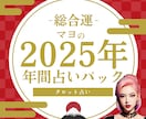 2025年版！年間通して占います １年間を１２ヶ月分を一括で占うお得パックです！ イメージ1