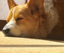 恋愛や会社、子育てなどの愚痴や悩みを聞きます 辛い時にはすぐに頼ってくださいね！心の支えになりたいです！ イメージ2