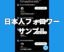 Xツイッター日本人フォロワーを100人〜増やします X(旧ツイッター)の日本人100人増加ほぼ減少なし イメージ6