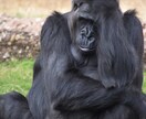 いまあなたが聞いてほしいことお聞きします 恋愛相談　雑談　今日の出来事　人間関係なんでもお話しください イメージ4