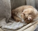 今日の楽しかった事を聴きます 2位じゃダメですよ！お・も・て・な・り！はじけようぜ！ イメージ2
