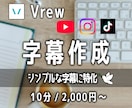 動画の【字幕 / テロップ】作成いたします 面倒で時間のかかる字幕作成、お任せください！ イメージ1