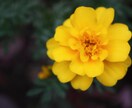 HPや提案書などでお使い頂ける写真を提供します SNSなどに精通した、若い感性で切り取った写真を撮っています イメージ5