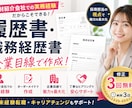 企業目線で履歴書・職務経歴書を作成します 企業目線で書類選考通過を目指した応募書類を作成します イメージ1