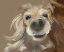 ペットの写真をそのままイラストにします あなたのうちの子をふわっと油絵風の可愛いイラストに！ イメージ2