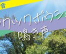 YouTubeサムネイル作成します 1枚～プランと1ヶ月20枚までプランがあります！ イメージ10