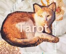 タロットで迅速・丁寧にあなたのお悩み占います とっておきの開運方法を用意してお待ちしております♡ イメージ1