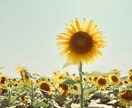 笑顔にさせます 悩みや不安を抱えているあなたへ イメージ1