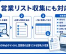 PythonスクレイピングでWebデータ収集します 面倒なコピペ・リサーチを自動化！指定サイトのデータを一括抽出 イメージ7