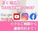 初心者必見★広告運用のプロが基礎から全て教えます 広告配信の管理や運用にお困りの方へ、基礎からレクチャーします イメージ1