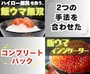 飯ウマ無双手法とインジケーター手法教えます ココナラで⭐︎5評価連発の手法2つをお得なパックにしました✨ イメージ1