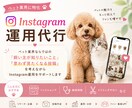 ペット業界特化のInstagram運用代行をします ペット業界に特化したInstagram運用をお任せください イメージ1