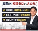楽天RPP広告を月1万で運用代行します 放置しがちなRPP広告をプロが改善します イメージ3