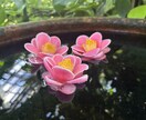誰にも言えない悩み、ゆっくりお聞きします 愚痴・恋愛・家族・仕事の悩みもお気軽に イメージ1