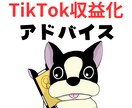 TikTok動画の収益化アドバイスなどをします 自称コンサルとは違います。実績ある投稿者目線でのアドバイス イメージ1