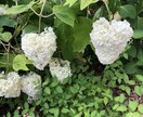 心にそっと♡寄り添って安らげる時間をつくります 心の癒しになりますようにദ്ദി ˉ͈̀꒳ˉ͈́ )✧ イメージ5