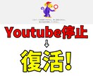 Youtubeの垢BAN復活をお助けします アカウント凍結やアカウント削除から復活するまでのサポート イメージ1
