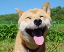 あなたの人見知り、克服します 初対面が苦手、自分を変えたいあなたへ イメージ3