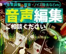 音声編集します！聞きやすい仕上がりに調整します 配信用・朗読、ナレーション、セミナー音声など幅広く対応可能 イメージ1
