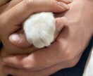 何でも元気に聞きます！何でも元気に話します 旦那さん大好き、子供4人のお母さん。38歳です！ イメージ1