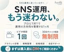 SNSのアドバイス・サポートいたします SNS各種のサポートをいたします イメージ1
