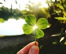 弱音を吐いても大丈夫☘ぼやきも涙も受け止めます 心のデトックスいたしましょう☘頑張るあなたを応援しています イメージ7