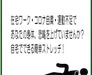 整体のプロがあなたにベストなストレッチ法を教えます 豊富な経験を活かし、あなただけのストレッチ法を教えます！ イメージ3