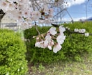 大学生が、愚痴や悩みを聞きます 自分の学校中退、いじめ、失恋等の経験を生かし相談に乗ります。 イメージ1