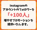 インスタのフォロワー増やします インスタのフォロワーを簡単に増加！ イメージ6