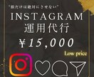 Instagramの運用代行を破格でお請けします 損をさせないInstagram運用代行者！ イメージ1