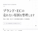 ブランド・ECの売れない原因を整理します 商品・価格・見せ方・販売導線を横断して改善提案 イメージ1