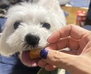 誰にも言えない悩み、全部聞きますます 言えない悩みや愚痴、否定せず全部受け止めます。 イメージ6