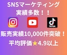インスタの日本人コメントをお手頃価格で増やします インスタ日本人コメント15～【最高品質✨お手頃価格❗】 イメージ2