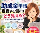 元自治体助成事業審査委員が申請内容を確認します あなたの申請、審査する側にはどう見える？ イメージ1