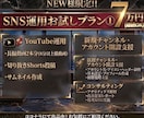 全SNS運用代行コンサルタント承ります 売上を創る「まるっとお任せSNS運営」 イメージ3