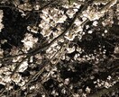 心に溜まった毒抜きを致します あなたの苦しみ、悲しみを掬います イメージ1