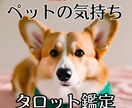 大切な家族の1人♡ペットのお気持ち鑑定いたします 天国に行ったご家族、忘れられない大切なあの子が伝えたいこと イメージ1