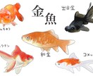 オリジナルイラスト描きます ご希望のイメージをイラストにいたします。 イメージ6