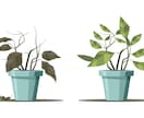 写真1枚でOK！お庭・ベランダの植栽を診断します 植物の“お困りごと”『モヤモヤ』【悩み】を診断します。 イメージ3