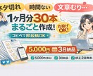 インスタ投稿文30本作成します ネタ出し〜文章まで丸投げOK！ イメージ1