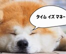 犬猫の病気の相談、オンラインで乗ります 動物病院に行く前・行った後に、気軽に相談できる獣医師サポート イメージ3